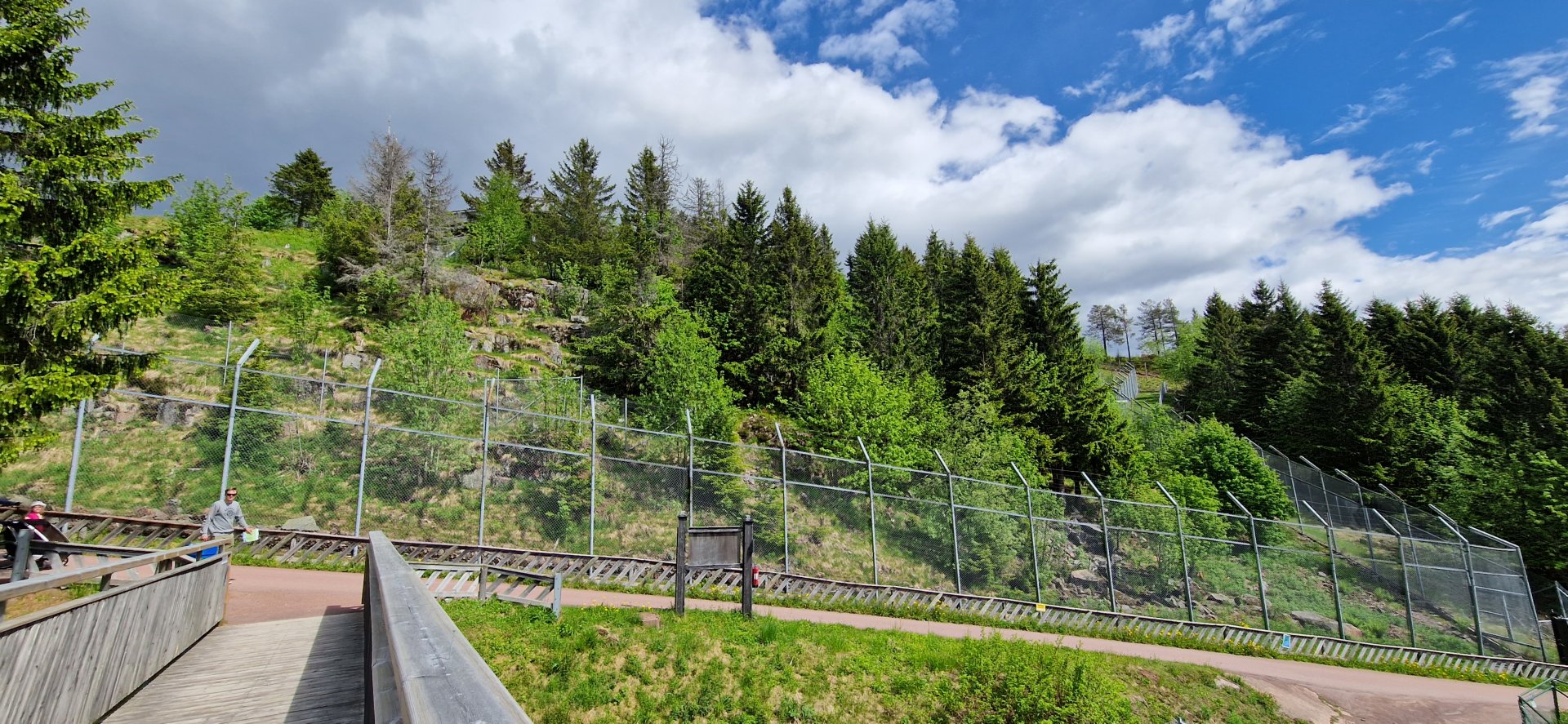 Siberian Tiger enclosure