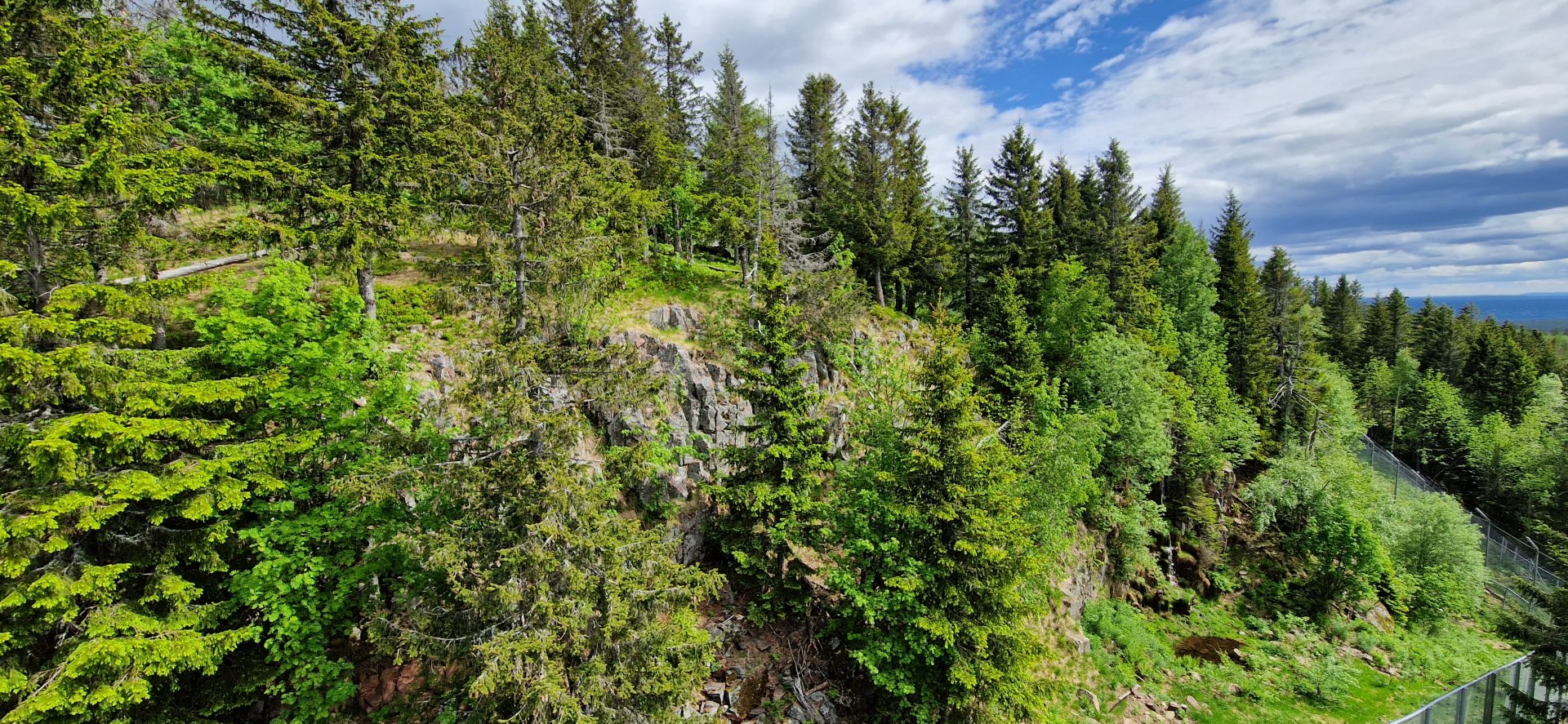 Siberian Tiger enclosure