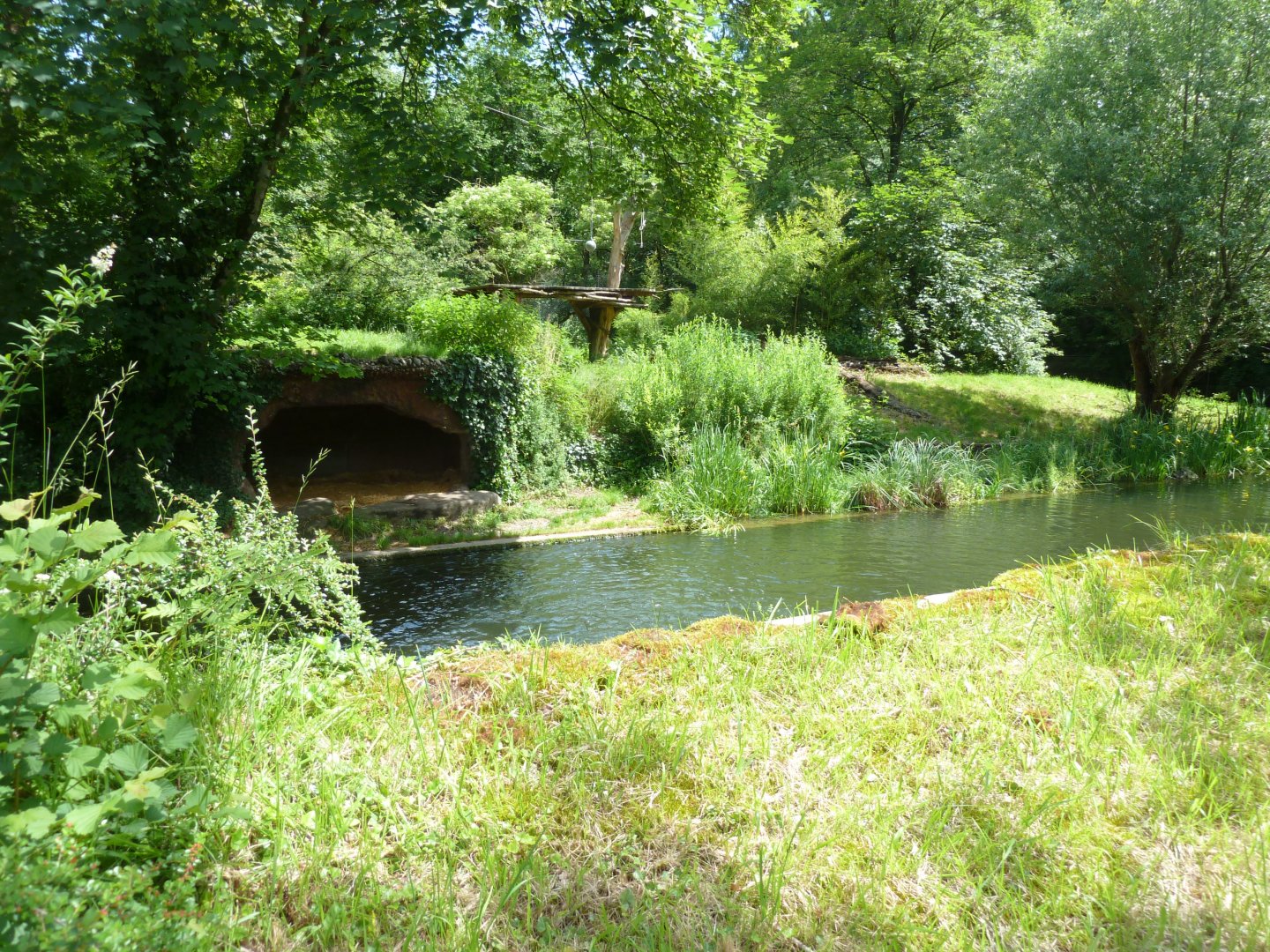 SIberian tiger enclosure