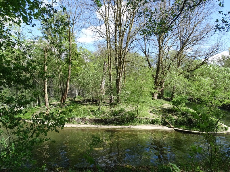 Siberian tiger enclosure