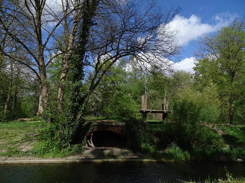 Siberian tiger enclosure