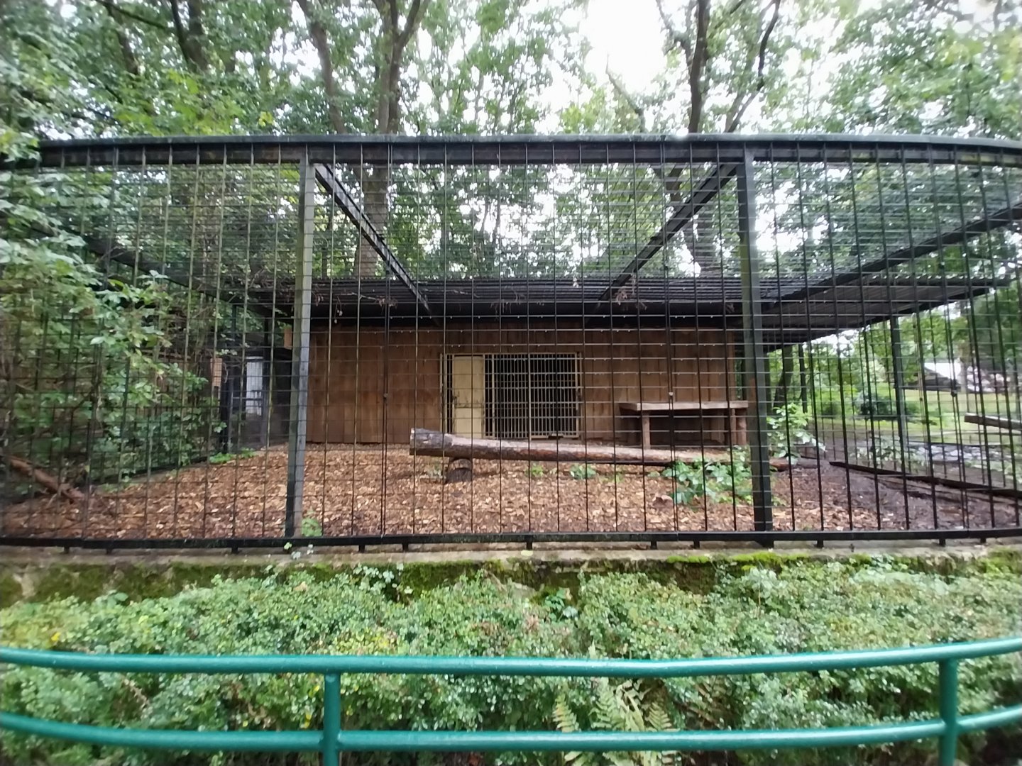 Siberian Tiger enclosure