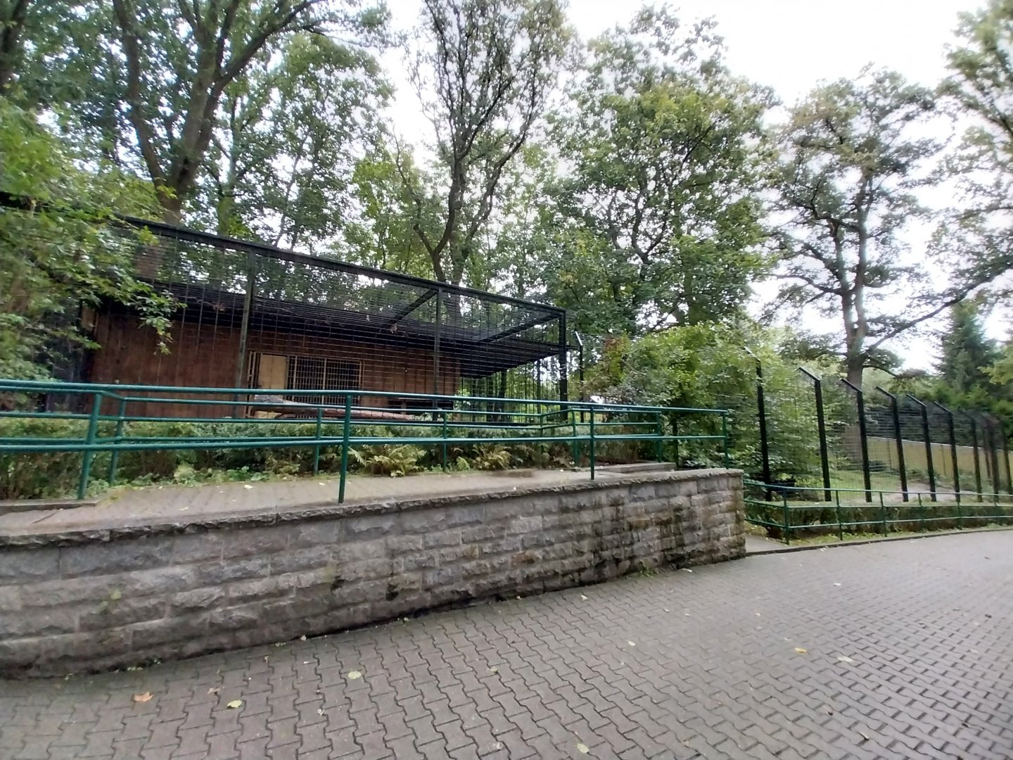Siberian tiger enclosure