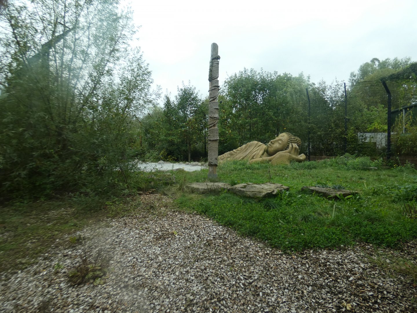 Siberian tiger enclosure