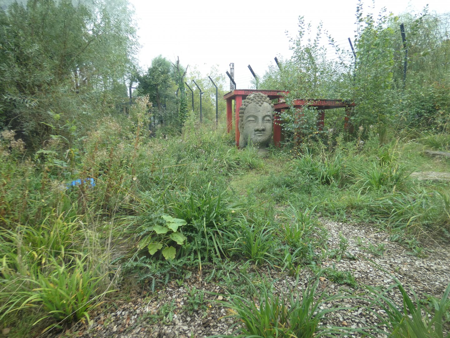 Siberian tiger enclosure