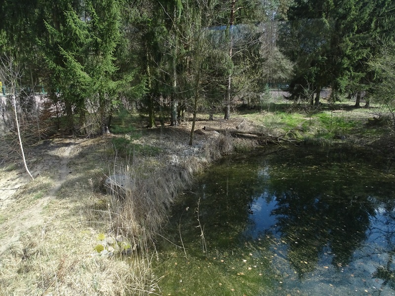 Siberian tiger enclosure