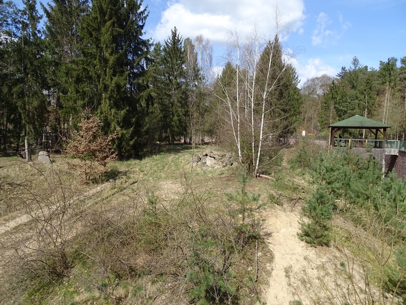 Siberian tiger enclosure
