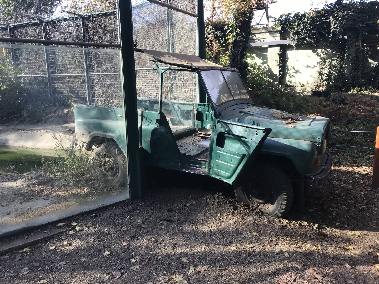 Siberian tiger exhibit 171018