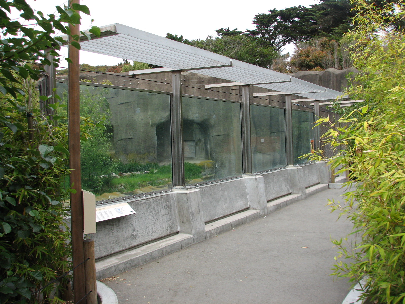 Siberian Tiger Exhibit - Viewing Area