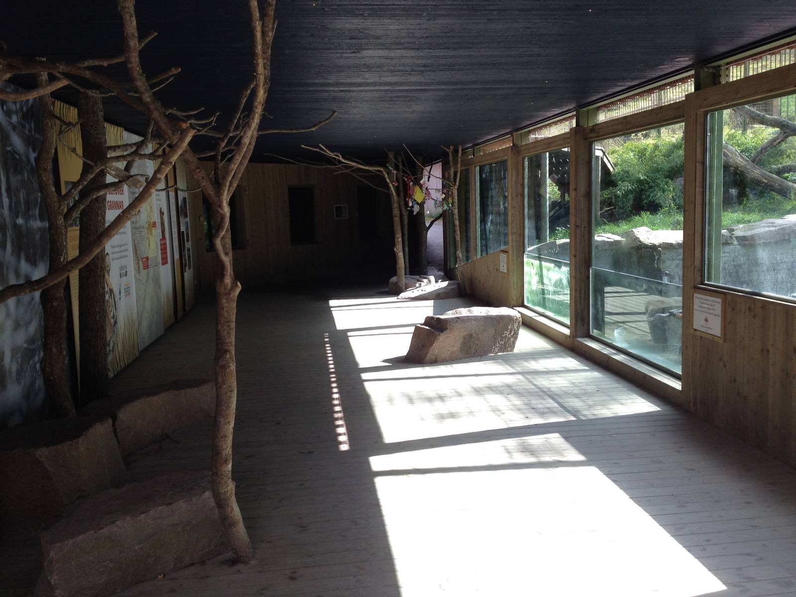 Siberian tiger exhibit - Vistor tunnel