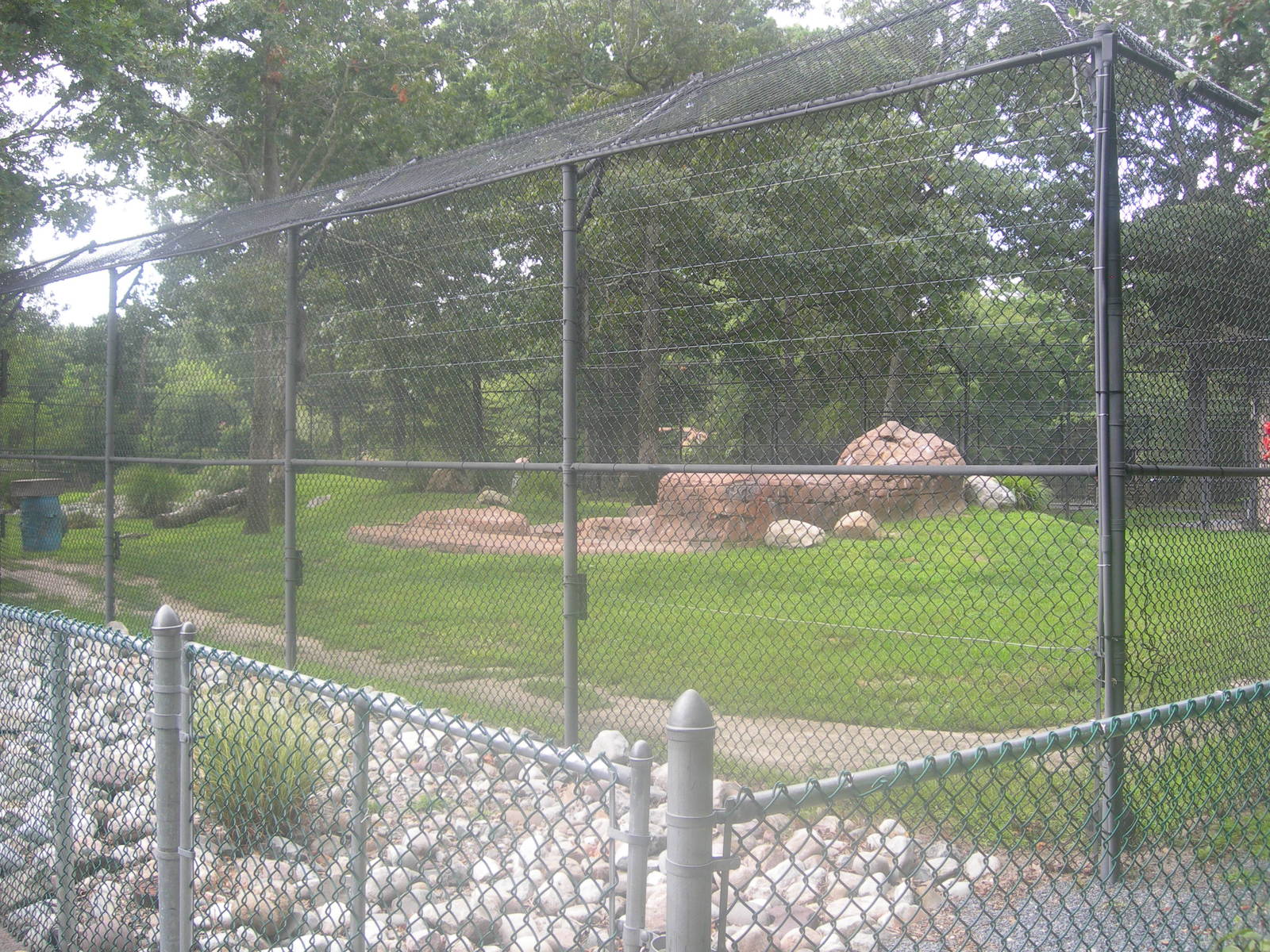 Siberian Tiger Exhibit