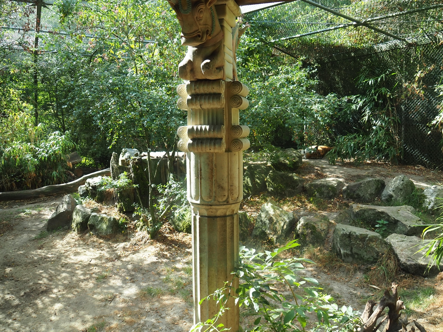 Siberian tiger exhibit