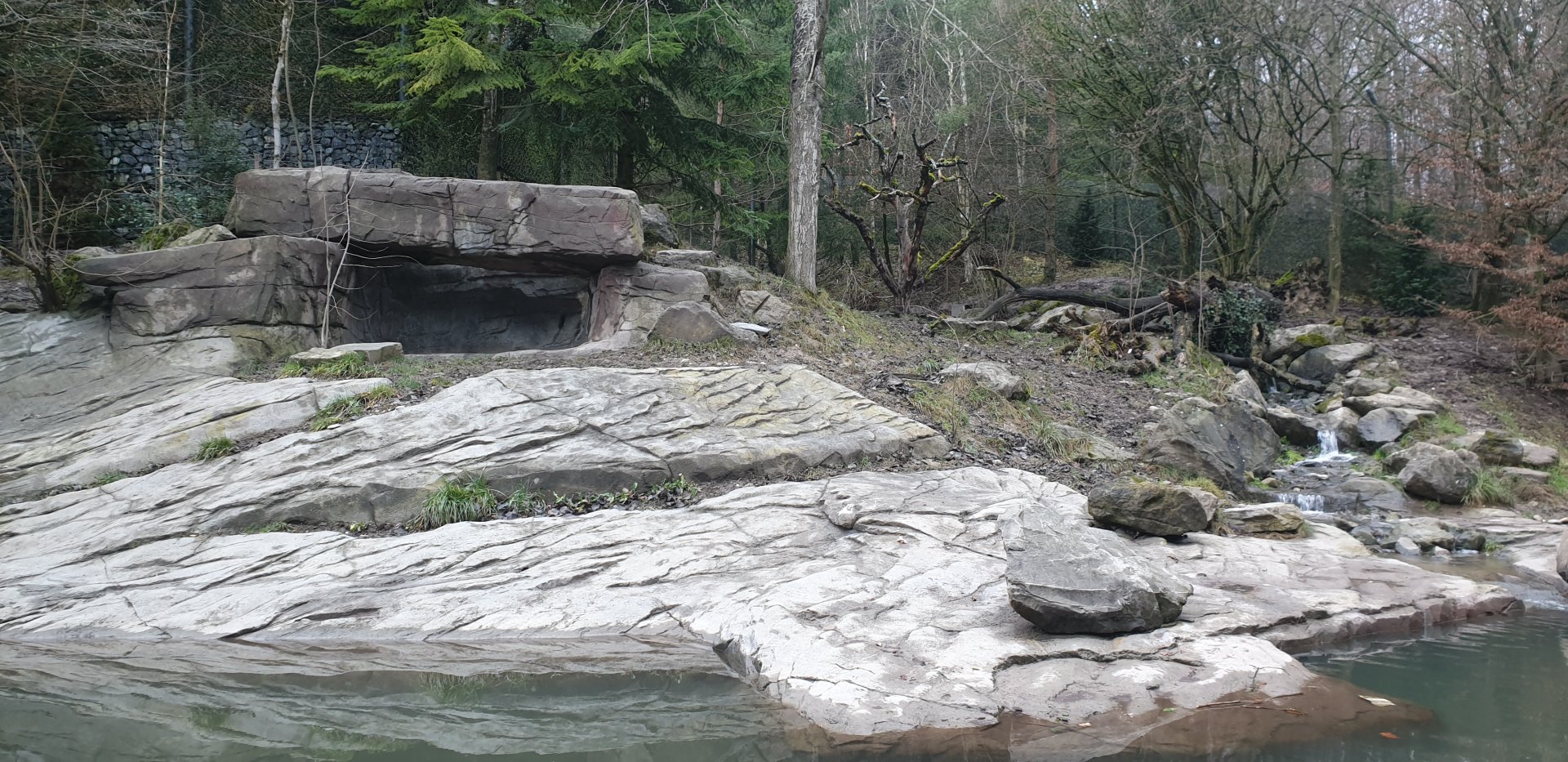 Siberian tiger exhibit