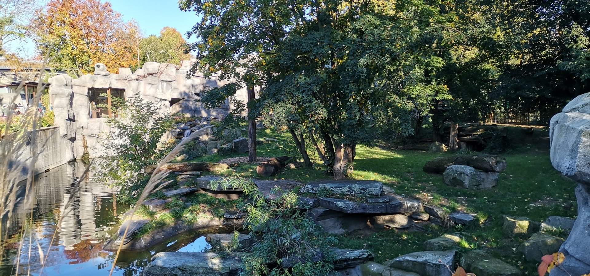 Siberian Tiger exhibit