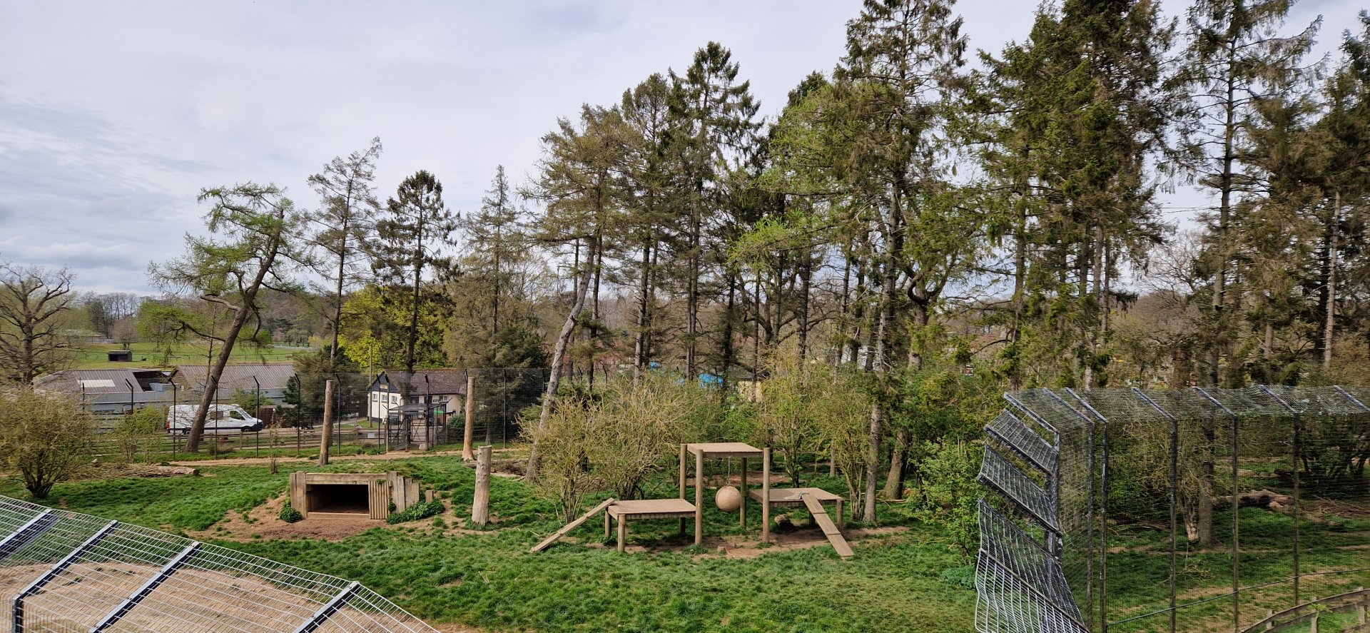 Siberian Tiger exhibit