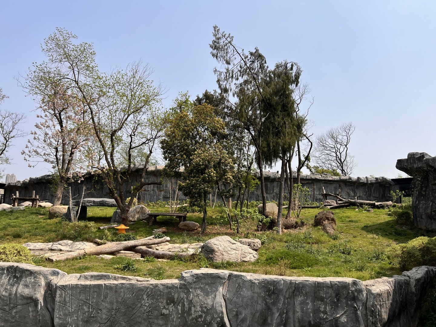 Siberian Tiger Exhibit