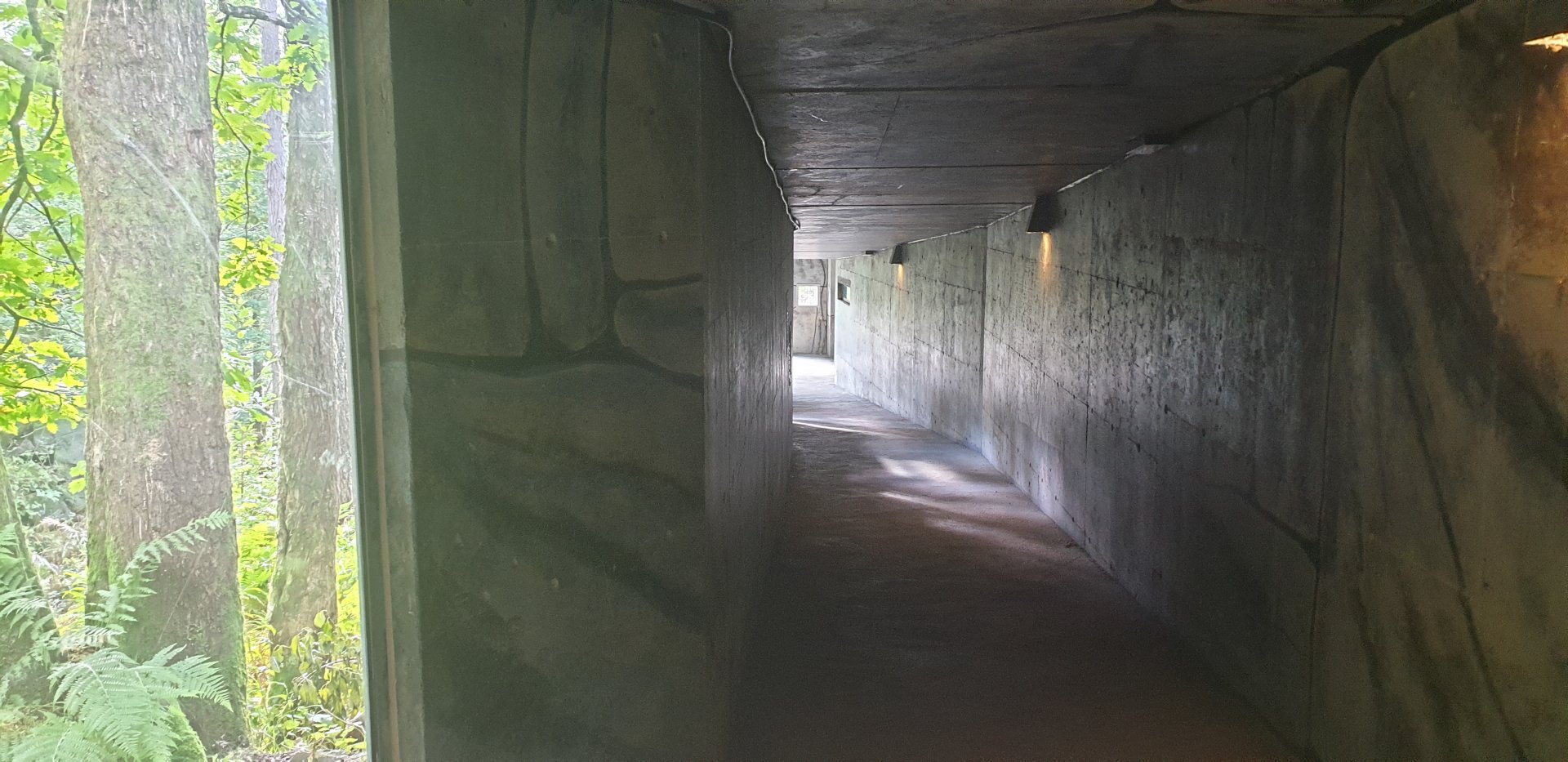 Siberian Tiger tunnel