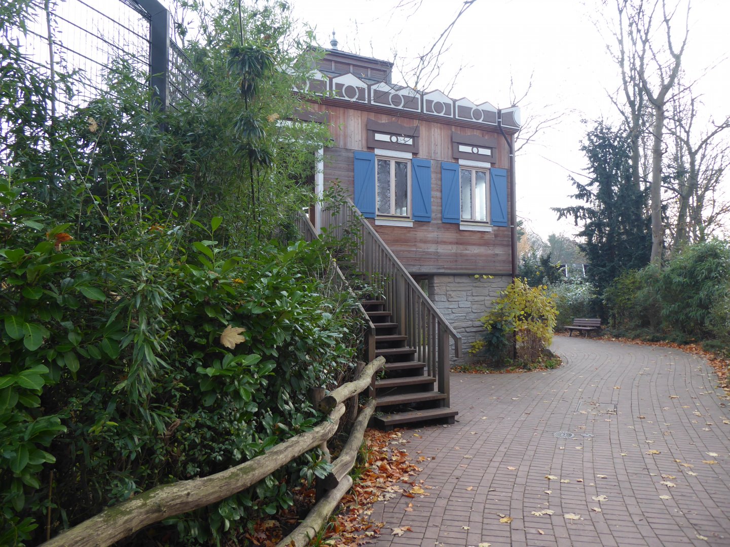 Siberian tiger viewing area 011219