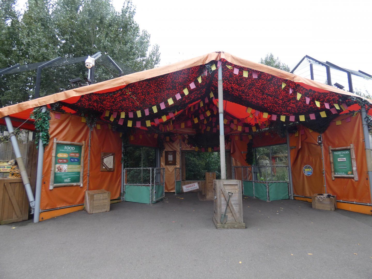 Siberian tiger viewing area