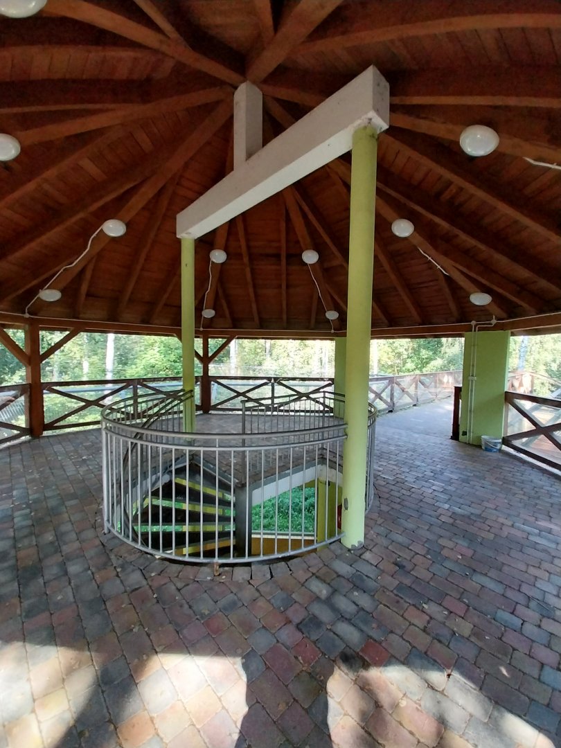 Siberian Tiger viewing platform