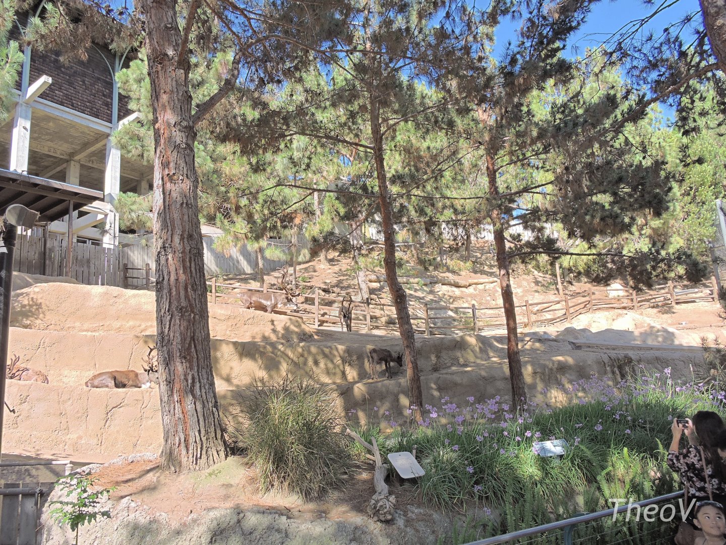 Siberian tundra reindeer exhibit - Northern Frontier [2015]