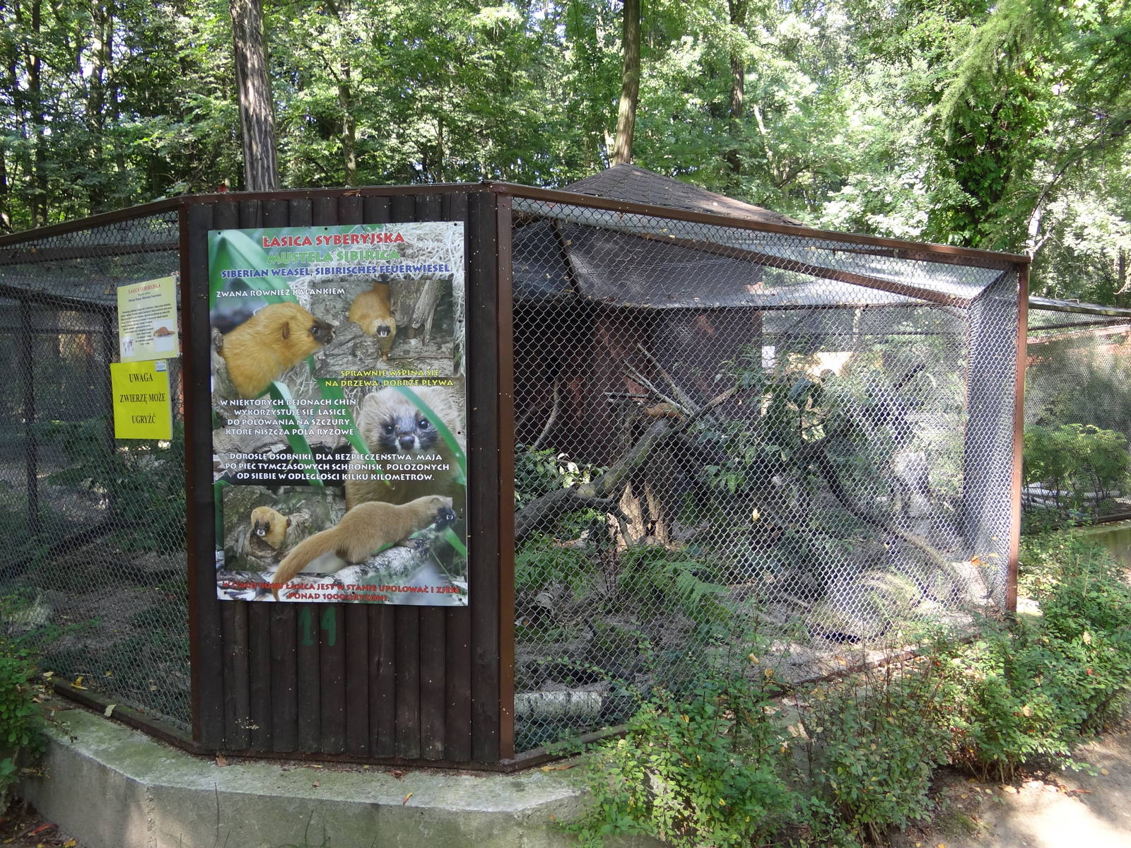 Siberian Weasel enclosure