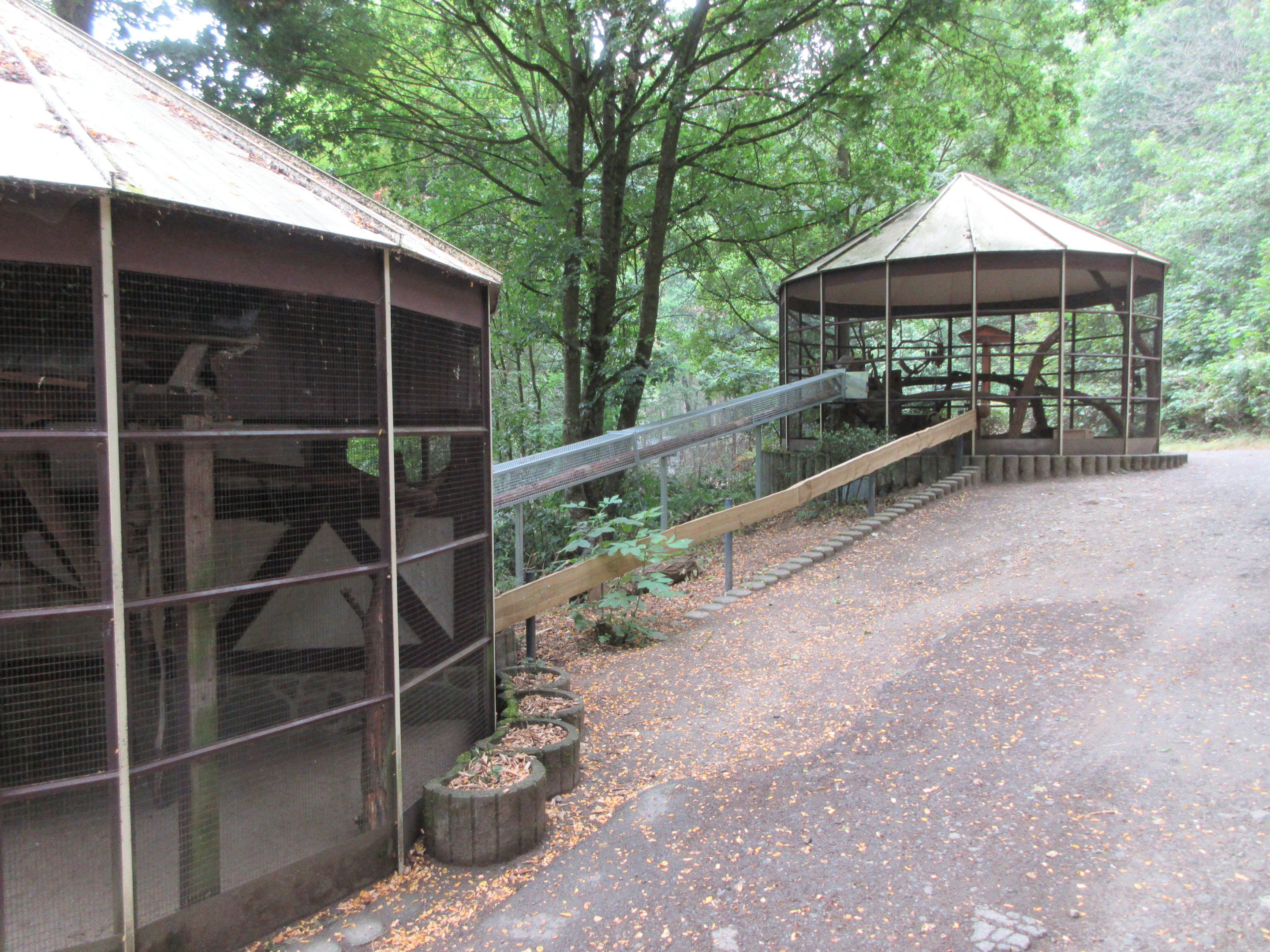 Siberian Weasel Exhibit (all connected)