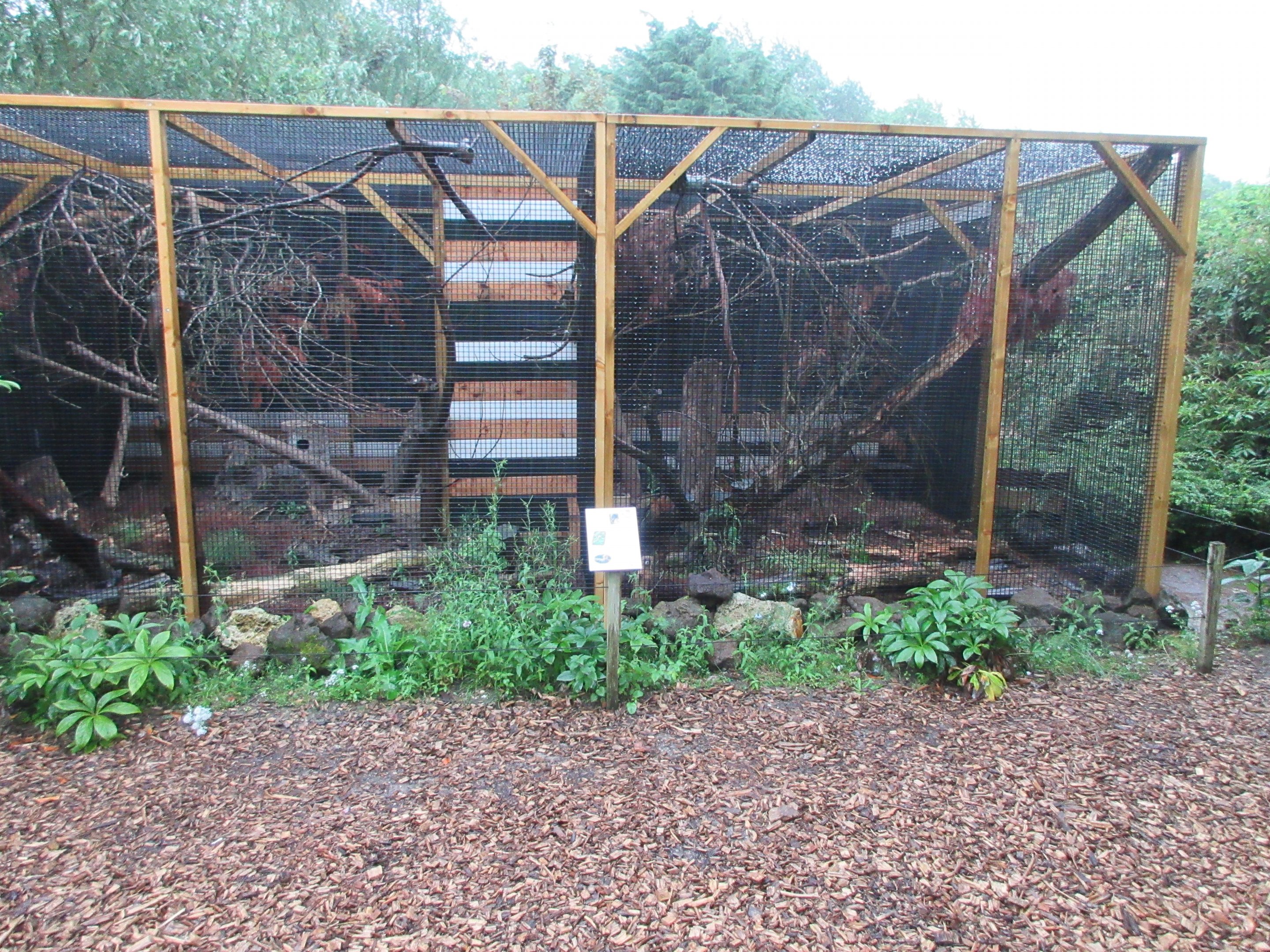 Siberian Weasel Exhibits