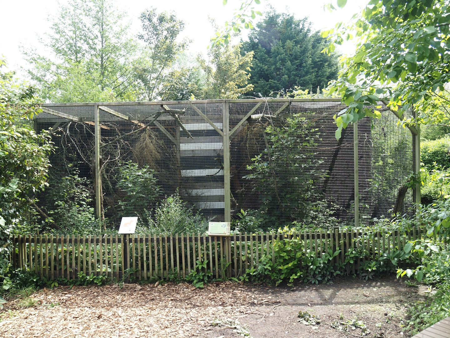 Siberian weasel exhibits,