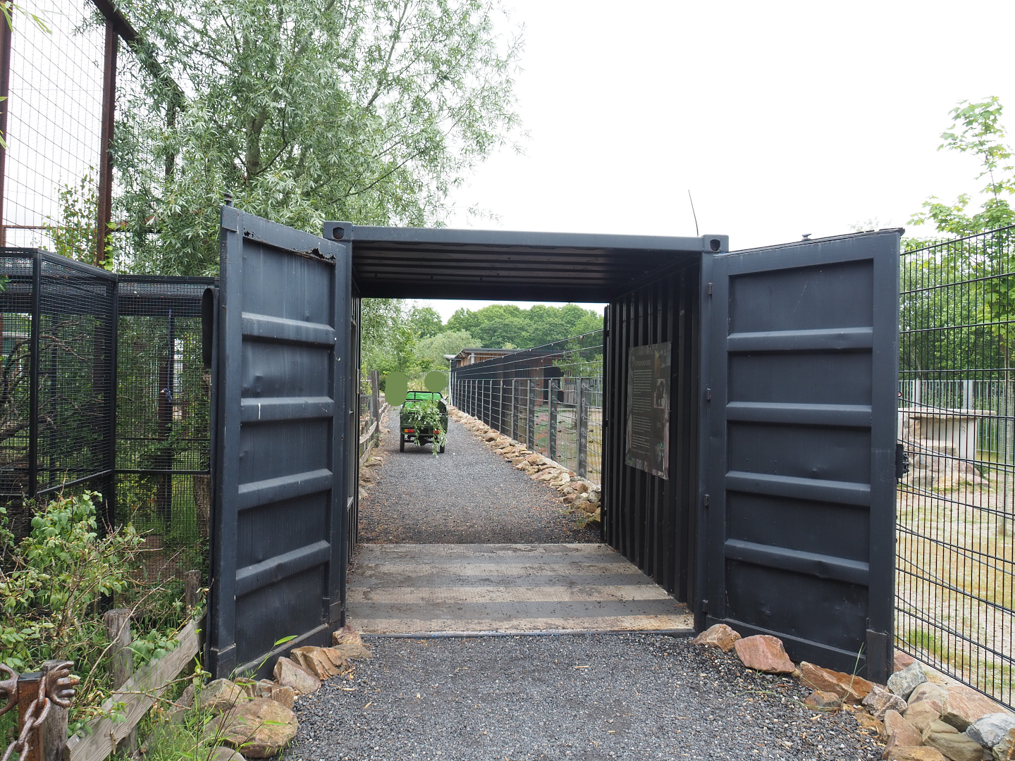 Siberian weasel viewing area, 2022-05-17