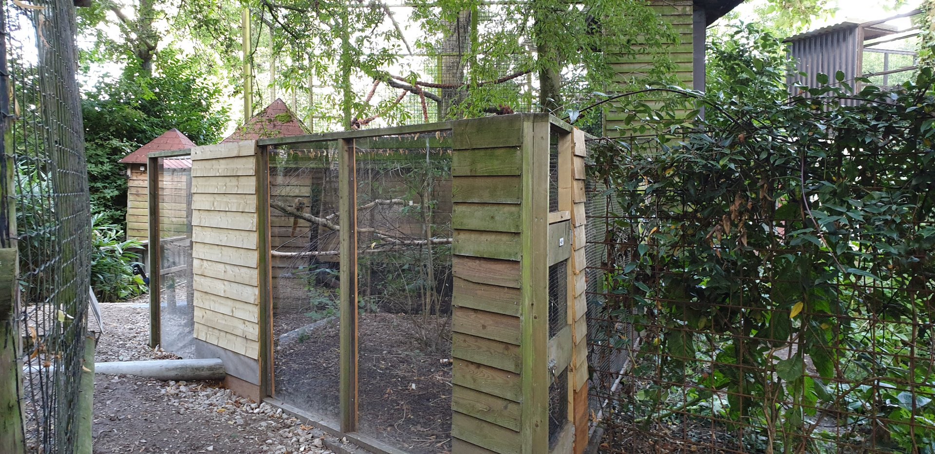 Siberian weazel enclosure