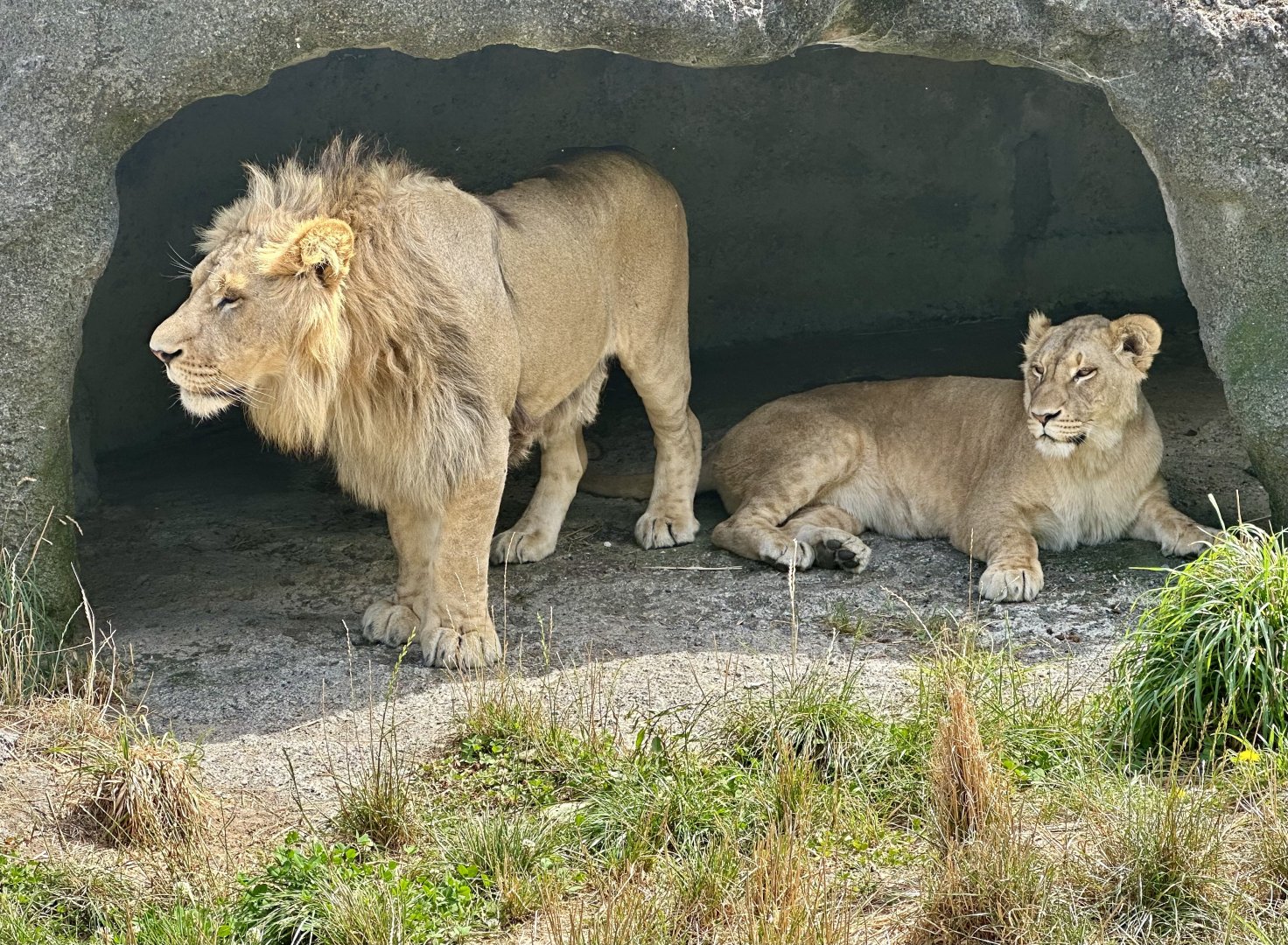 Siblings (Fletcher and Freyja)