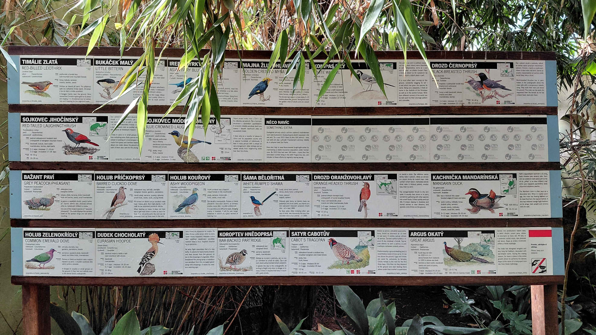 Sichuan - list of species