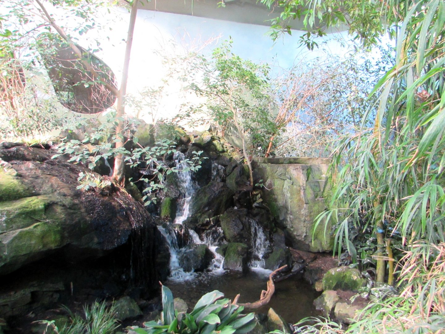 Sichuan pavilion indoor (1) - July/2017