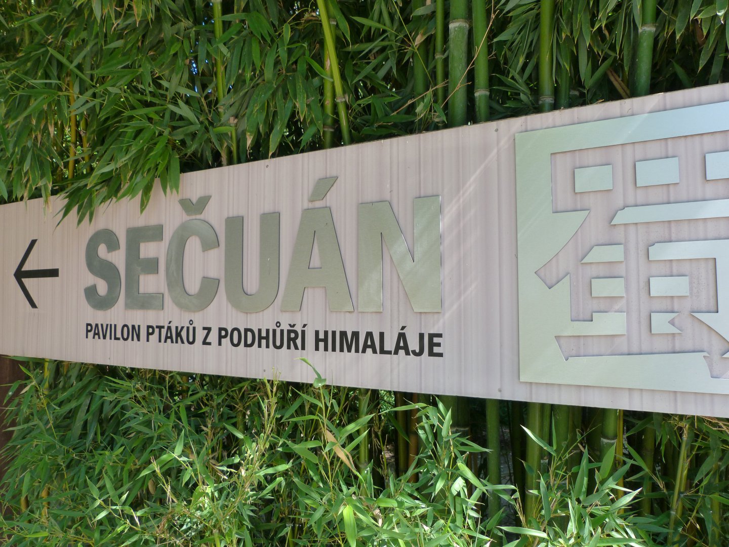 "Sichuan" sign -Zoo Praha (2025)