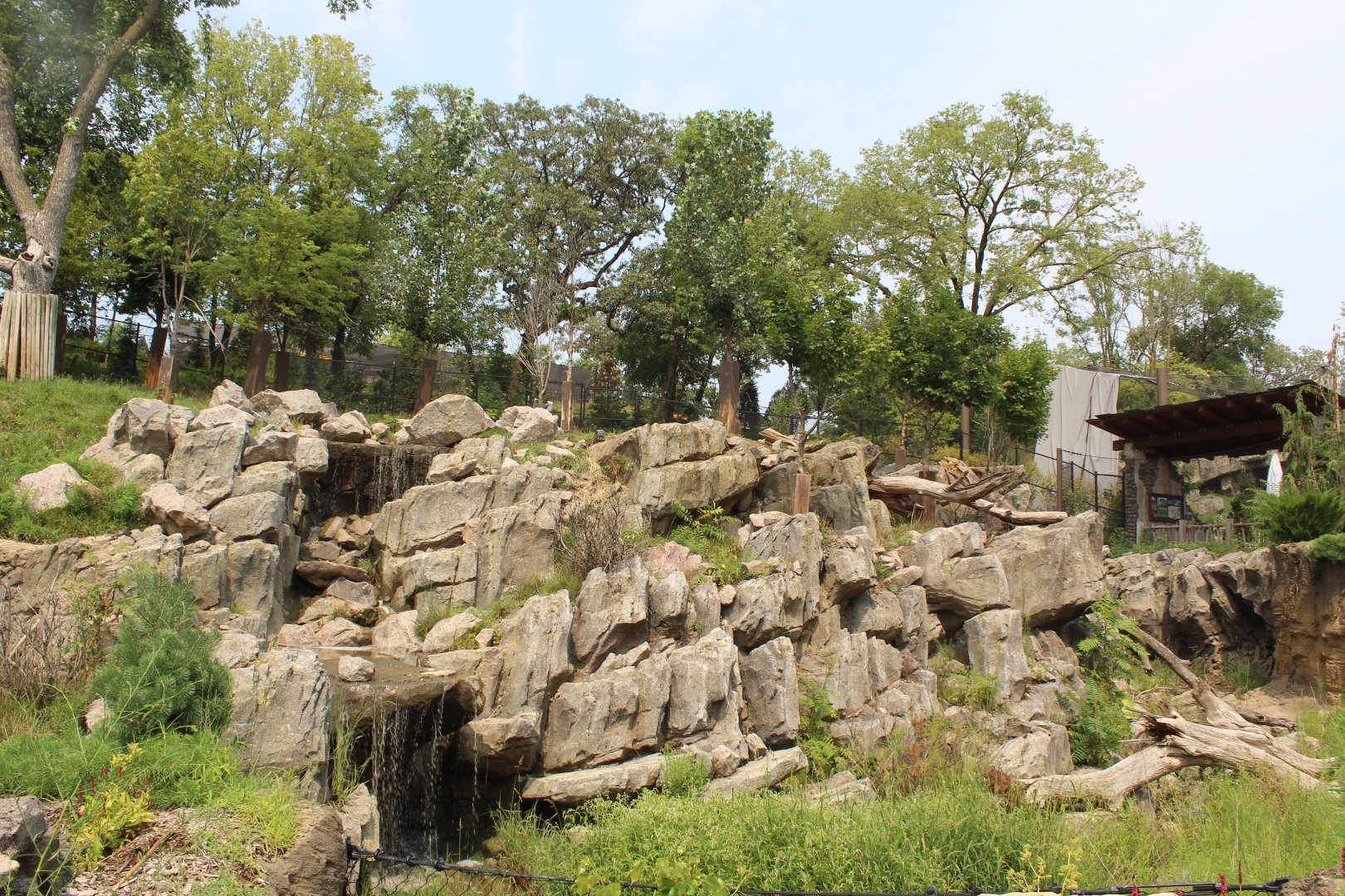 Sichuan Takin & Chinese Goral Exhibit - Asian Highlands