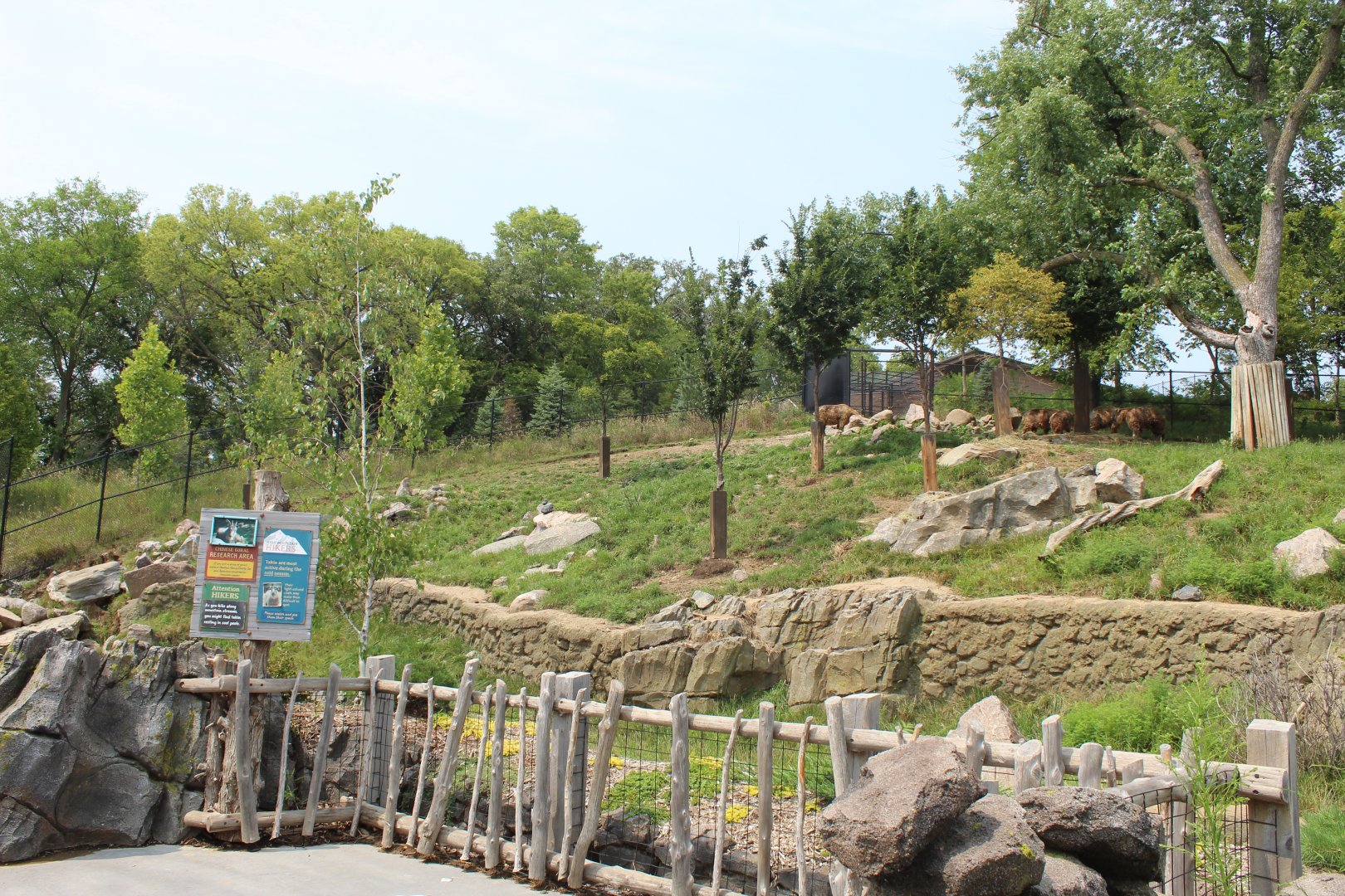 Sichuan Takin & Chinese Goral Exhibit - Asian Highlands