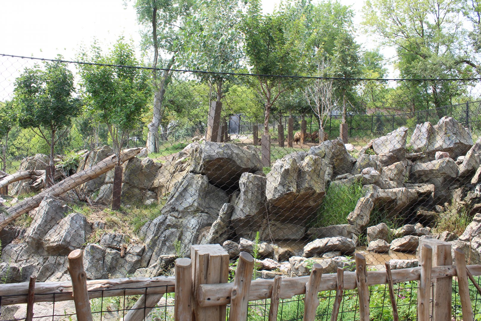 Sichuan Takin & Chinese Goral Exhibit - Asian Highlands
