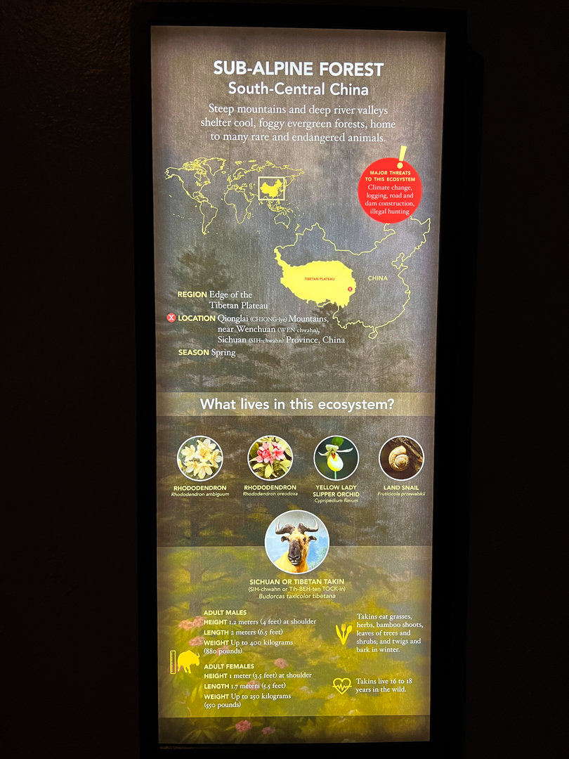 Sichuan Takin Diorama Sign