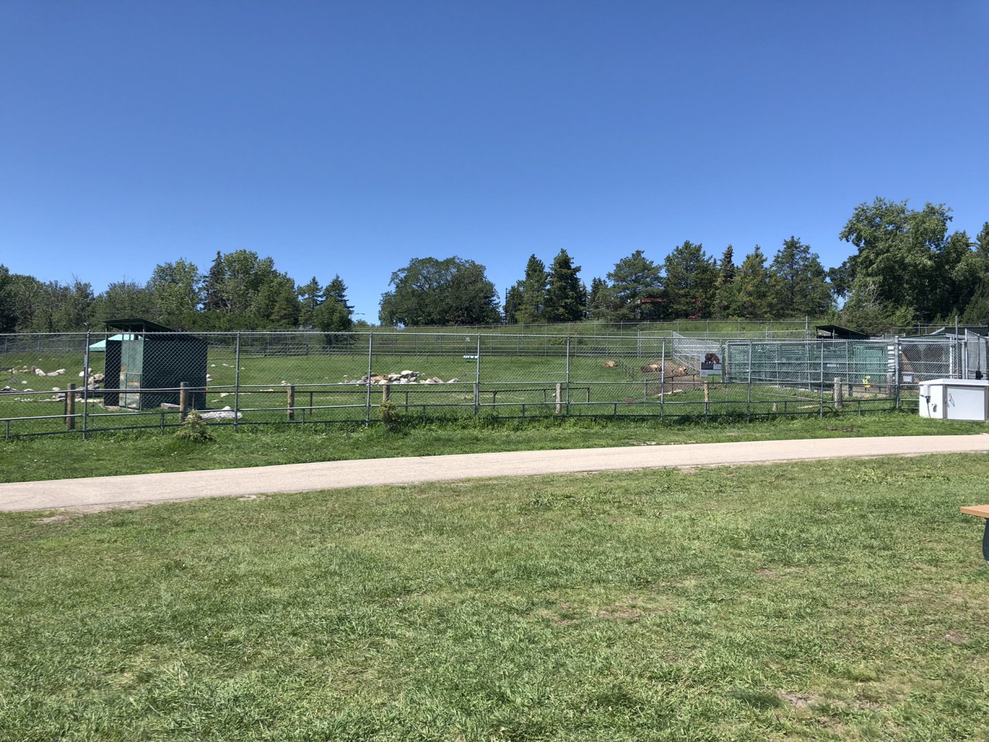 Sichuan Takin Enclosure at Edmonton Valley Zoo (July 2022)