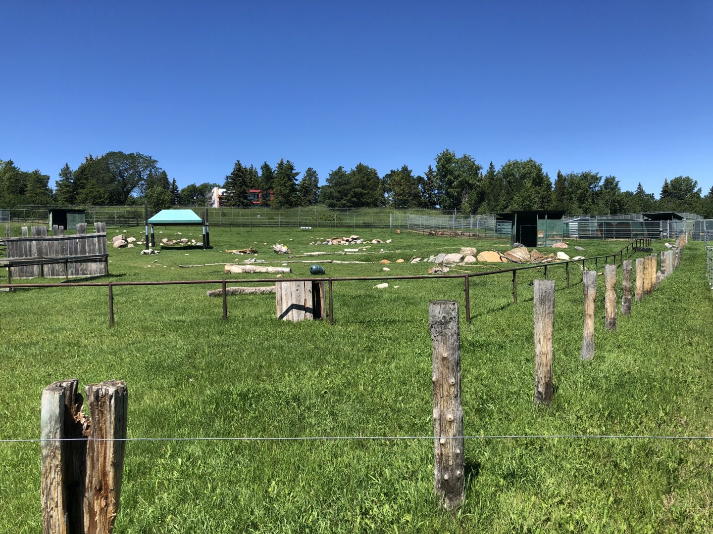 Sichuan Takin Enclosure at Edmonton Valley Zoo (July 2022)
