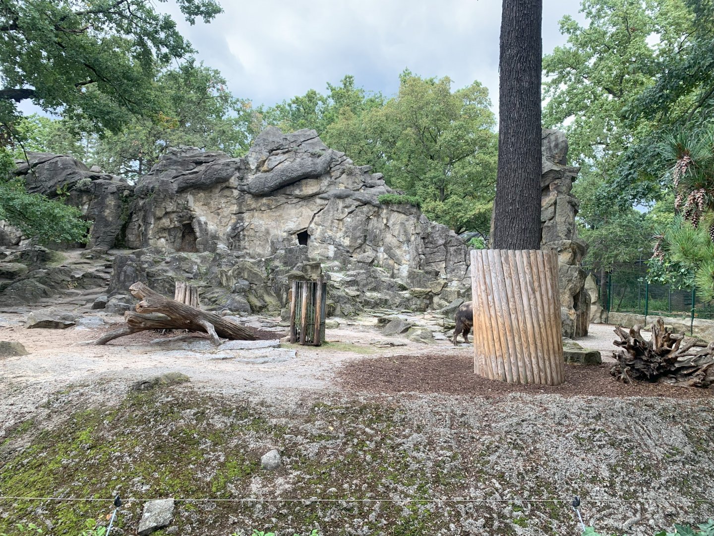 Sichuan Takin enclosure