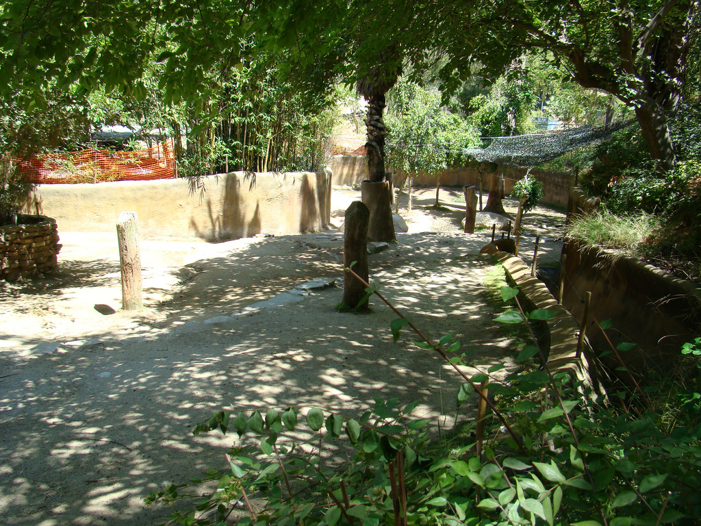 Sichuan Takin exhibit at the Los Angeles Zoo