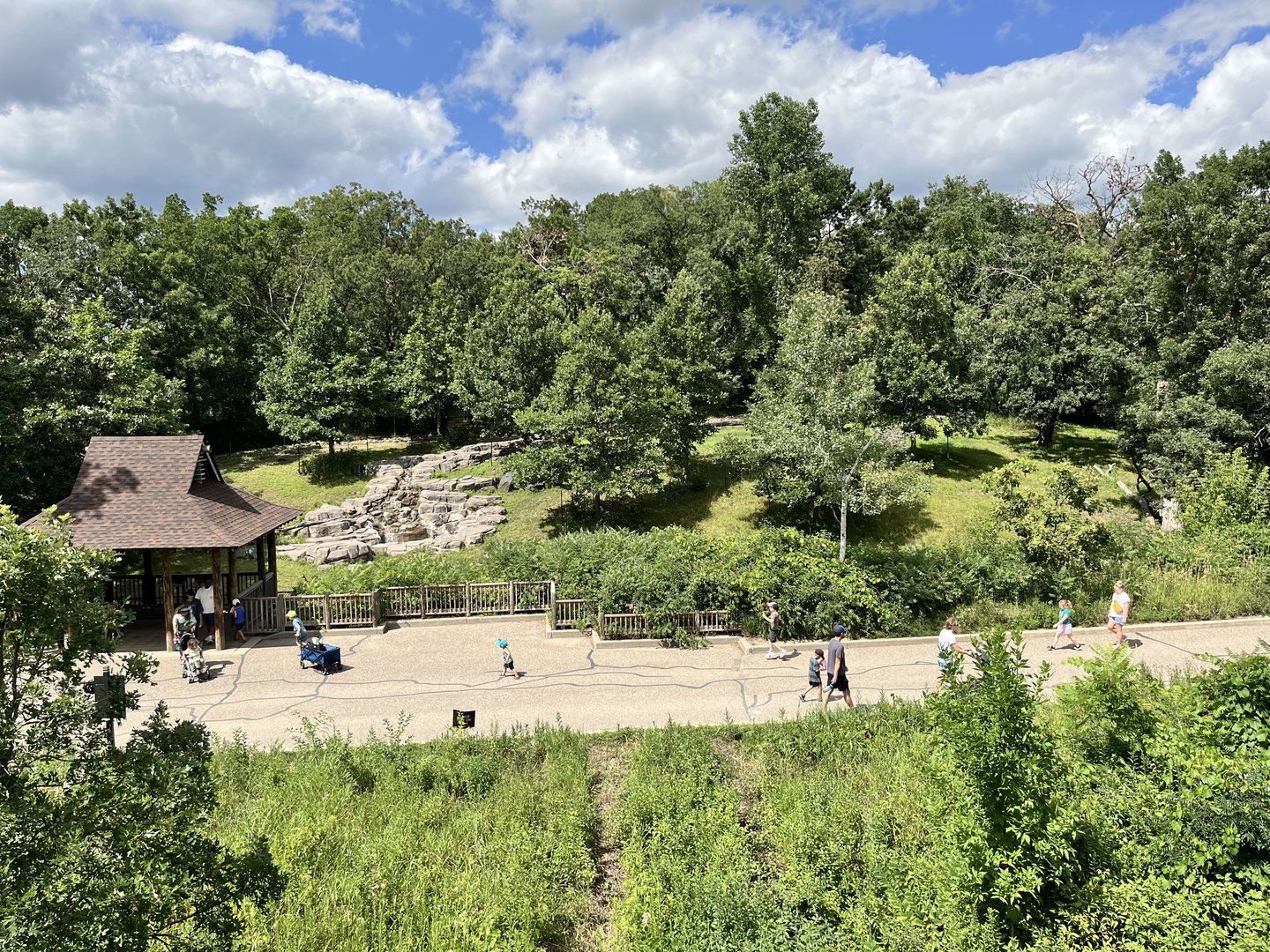 Sichuan Takin Exhibit From the Treetop Trail