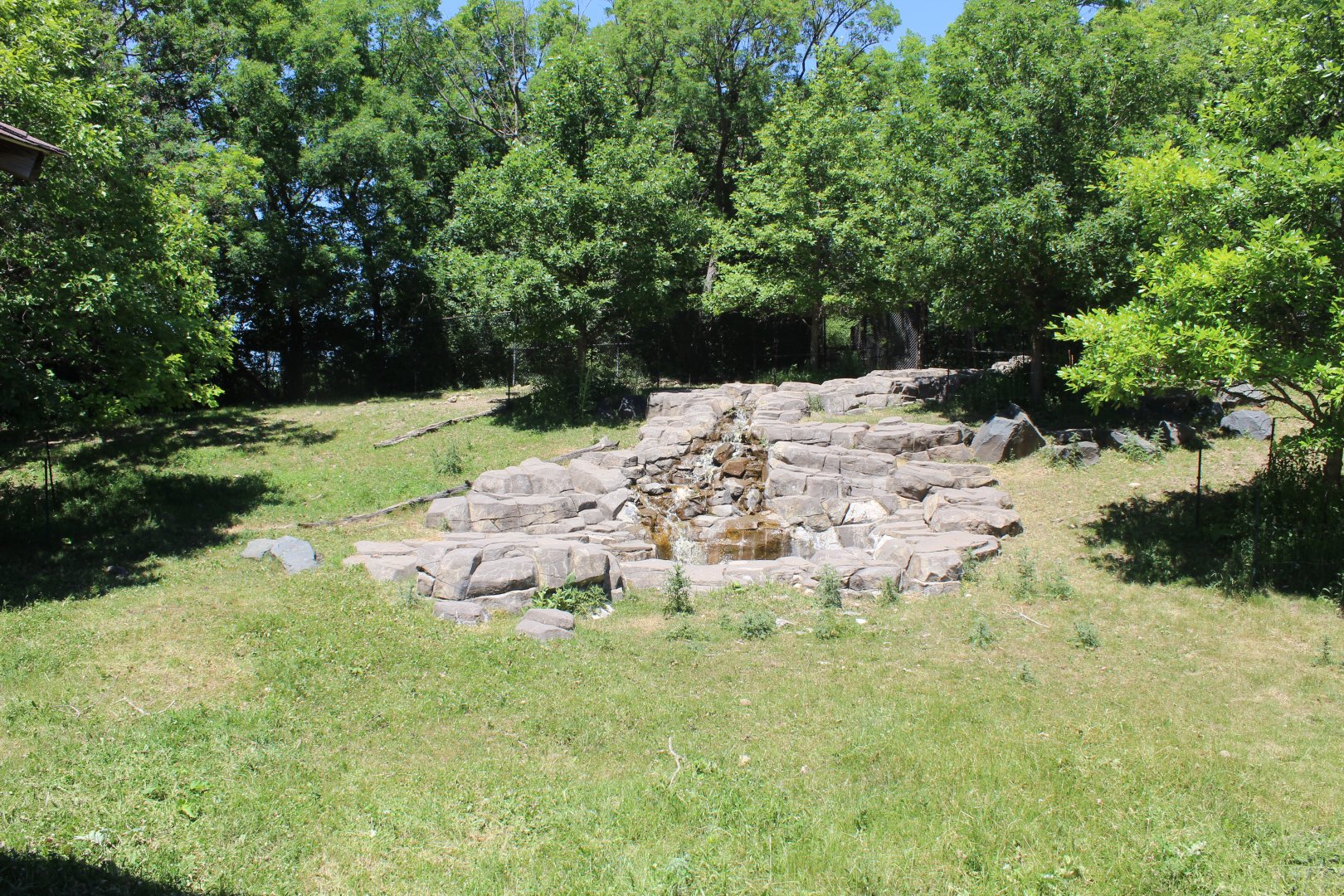 Sichuan Takin Exhibit - Northern Trail