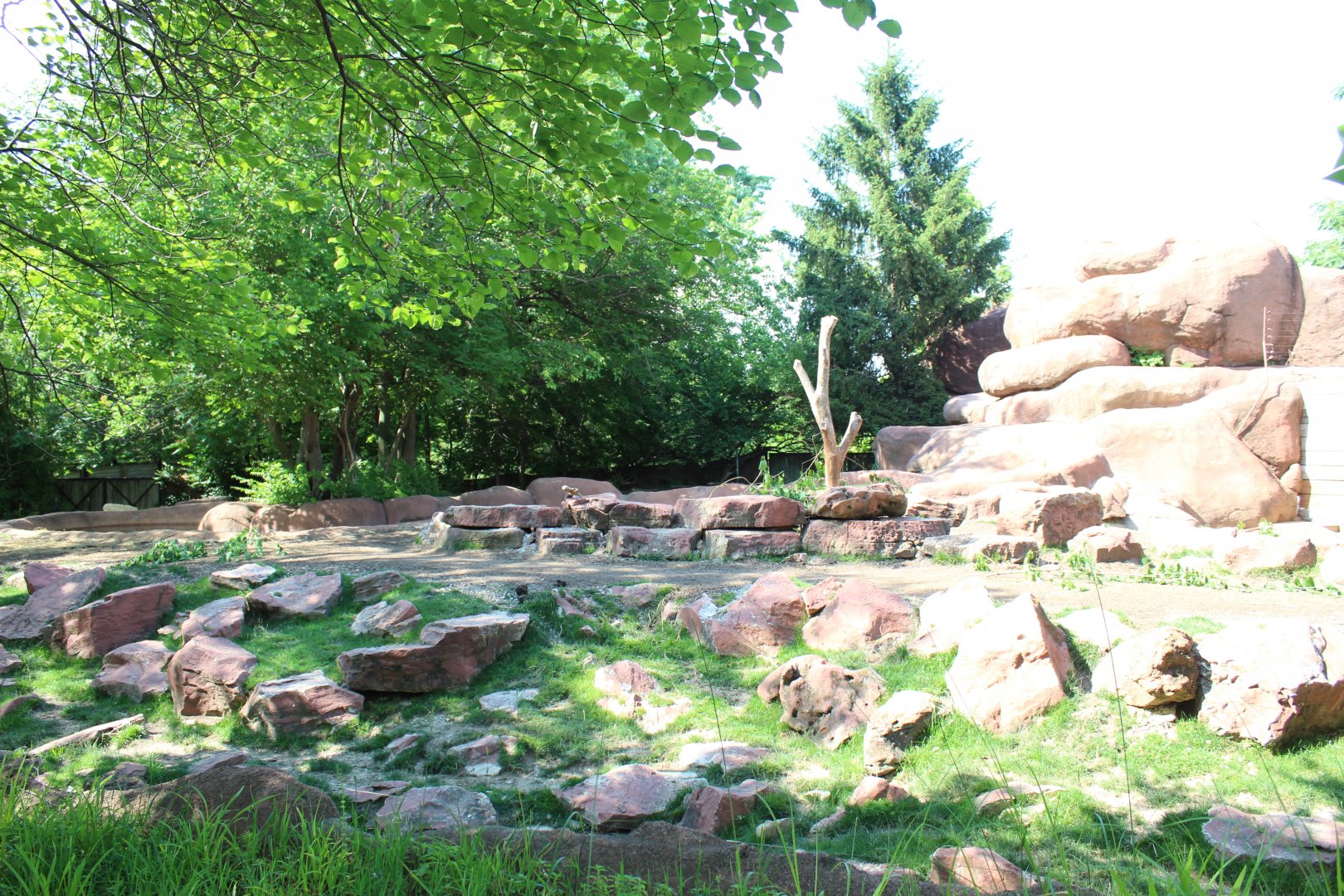 Sichuan Takin Exhibit - Red Rocks