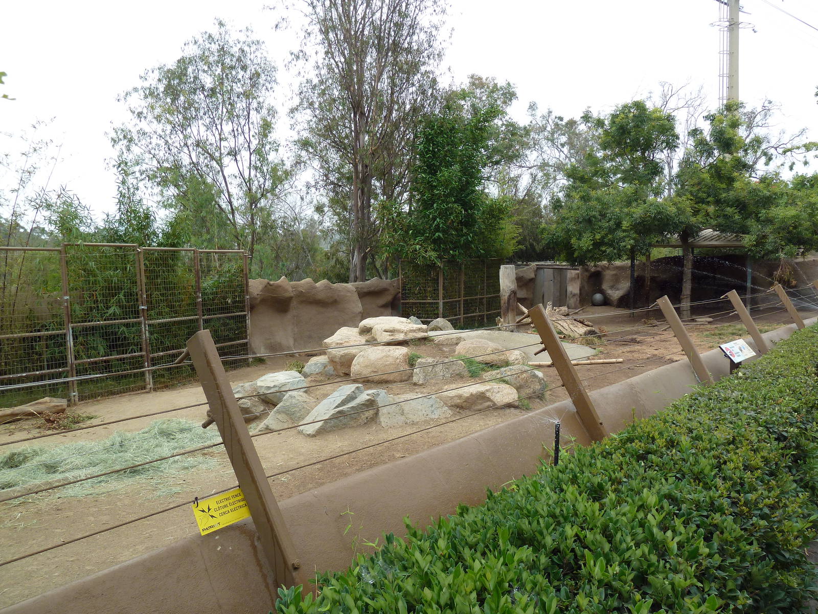 Sichuan Takin Exhibit
