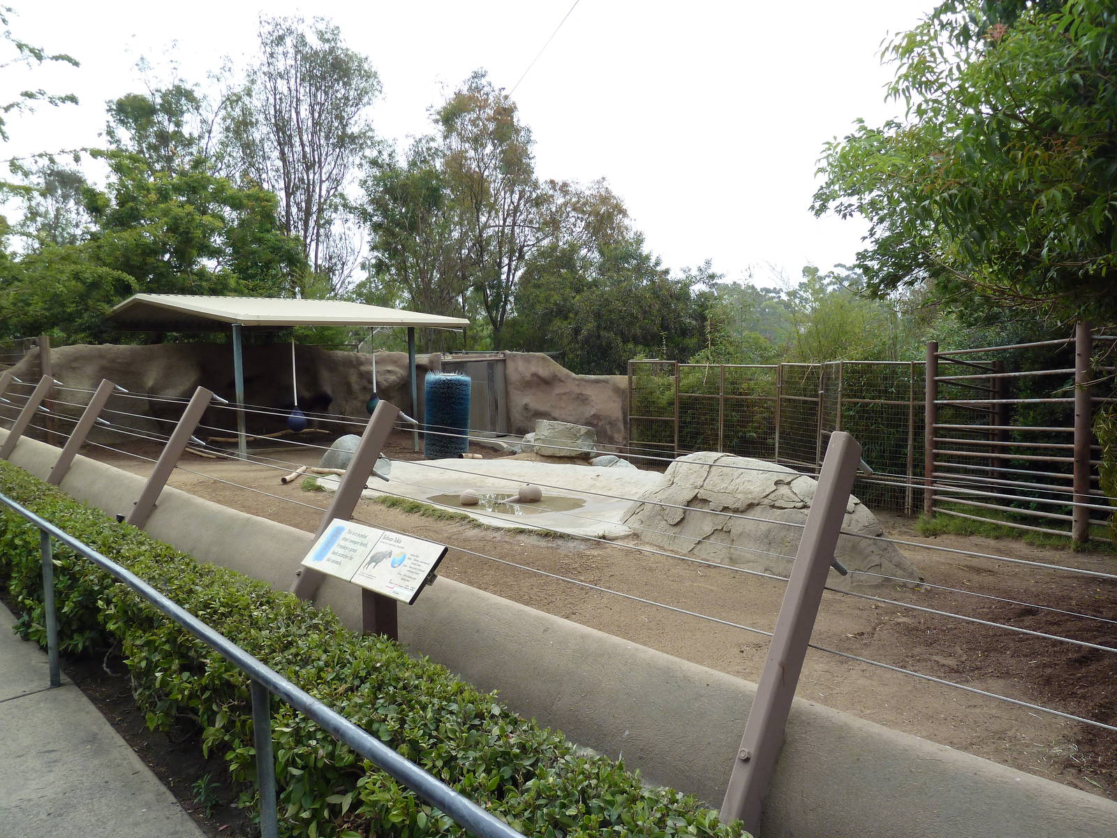 Sichuan Takin Exhibit