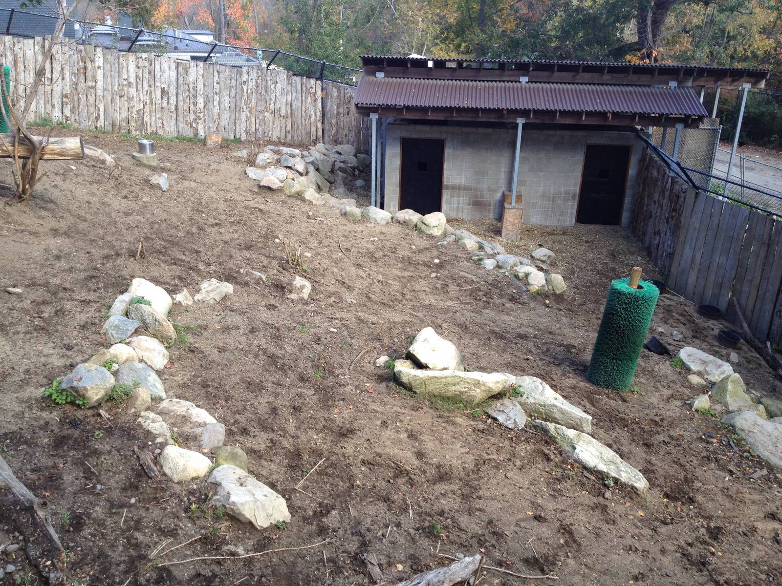 Sichuan Takin Exhibit