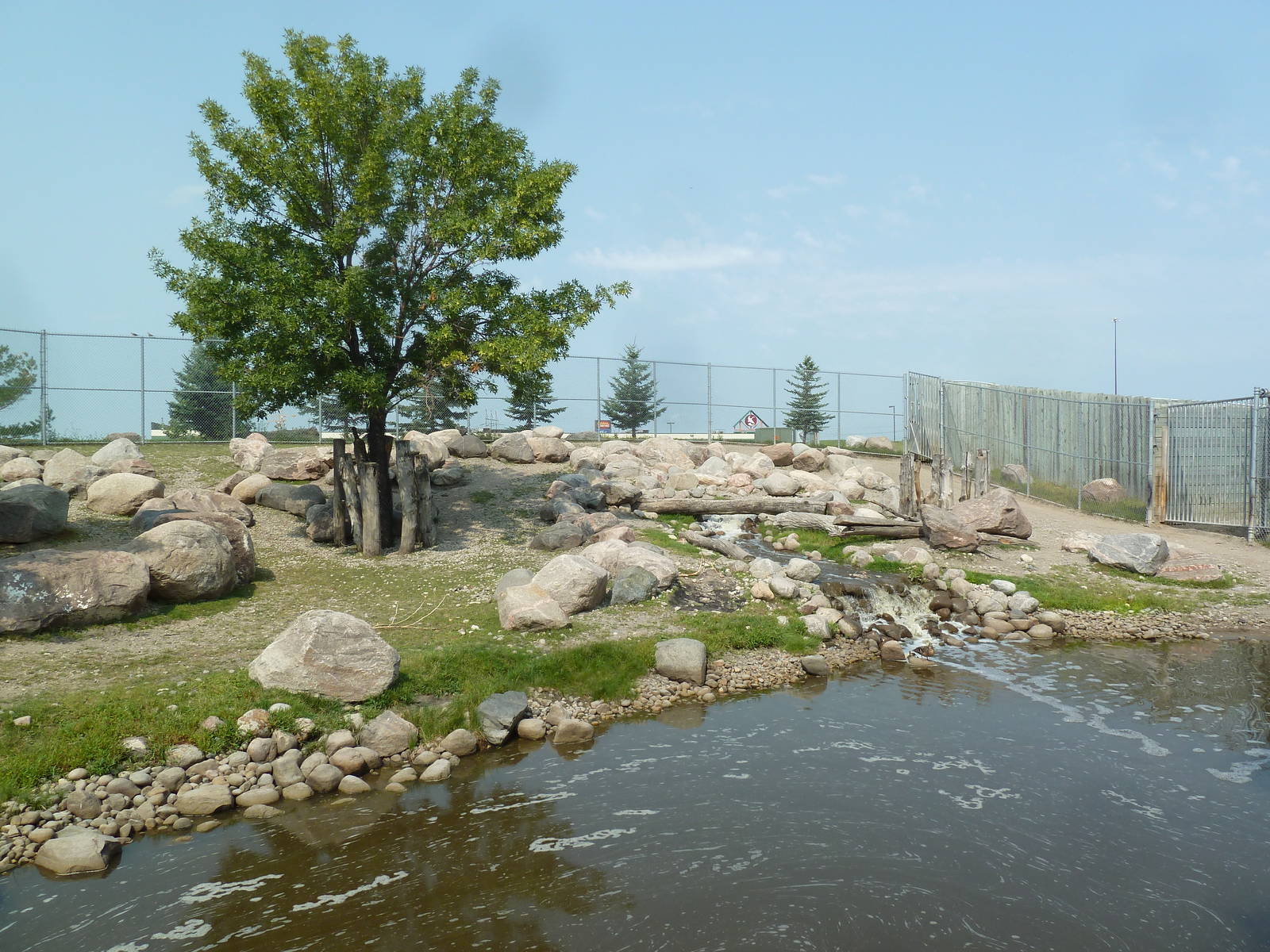 Sichuan Takin Exhibit